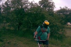 Kaszál az öreg :-)