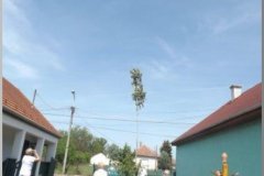 dscf8611