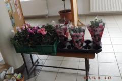 dscf8140