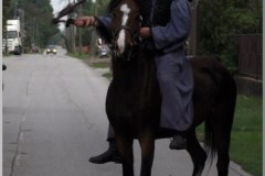 Szüreti felvonulás 2010. - Csati-parti