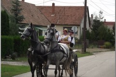 Szüreti felvonulás 2010. - Csati-parti
