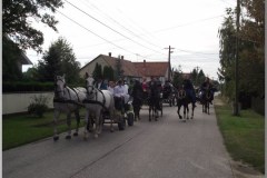 Szüreti felvonulás 2010. - Csati-parti