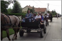 Szüreti felvonulás 2010. - Csati-parti