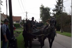 Szüreti felvonulás 2010. - Csati-parti