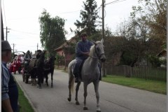Szüreti felvonulás 2010. - Csati-parti
