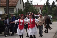 Szüreti felvonulás 2010. - Csati-parti