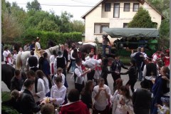 Szüreti felvonulás 2010. - Csati-parti