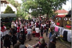 Szüreti felvonulás 2010. - Csati-parti