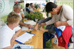 Falunap 2010.