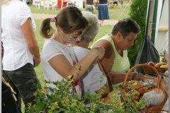Falunap 2010.