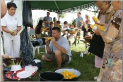 Falunap 2010.