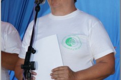 Falunap 2010.