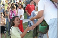 Falunap 2010.