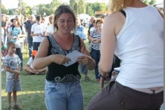 Falunap 2010.