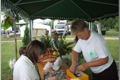 Falunap 2010.