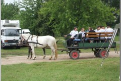 Falunap 2010.