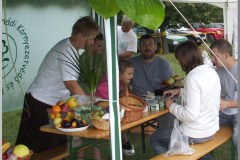 Falunap 2010.