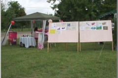 Falunap 2010.