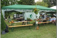Falunap 2010.