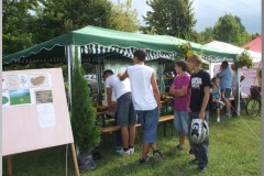 Falunap 2010.