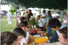Falunap 2010.