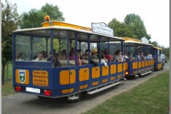 Falunap 2010.