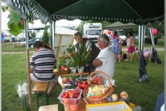 Falunap 2010.