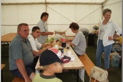 Falunap 2010.