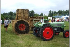 Falunap 2010.