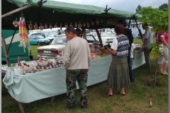 Falunap 2010.