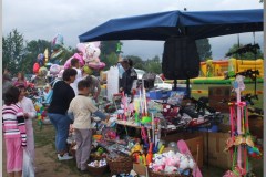 Falunap 2010.