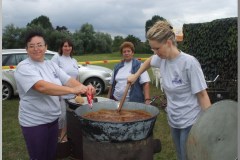 Falunap 2010.