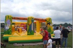 Falunap 2010.