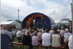 Falunap 2010.