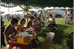 Falunap 2010.