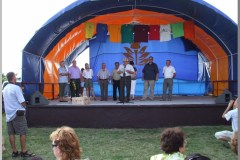 Falunap 2010.