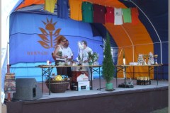 Falunap 2010.