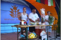 Falunap 2010.