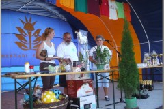 Falunap 2010.