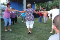 Falunap 2010.