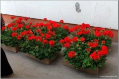 20170502_100025