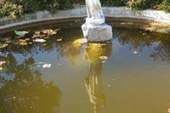 20171016_143922