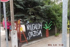 dscf1006