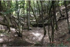 dscf6144