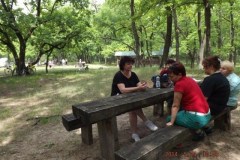 dscf0851