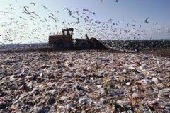 landfill