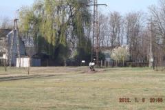 dscf7757