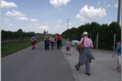 Madarak és Fák Napja 2011.