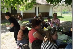 Madarak és Fák Napja 2011.