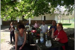 Madarak és Fák Napja 2011.